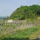 DMZ평화의길 18코스 2부 : 철원 백골공원, 태극 파동은 바람을 타고 이미지