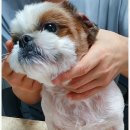 동인동물병원 이미지