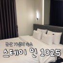 스테이인 1025 이미지