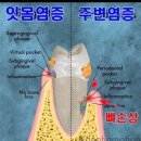 장승준동물치과병원 이미지