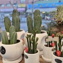 칠성의원 | 준비한 나를 위한 특별한 선물 이야기, 졸업과 새로운 시작을 응원하는 감성 가득한 꽃다발 추천 후기 🌸💐