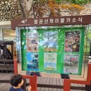 대구 여섯살 아이와 가볼만한 곳, 팔공산 케이블카 후기!
