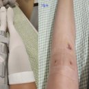 은승표코리아정형외과의원 이미지