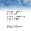 ⛪️ 주님 성탄 대축일 이미지