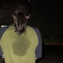 딱플레이배드민턴센터 | 스트레스 풀기 딱 좋은 안중배드민턴센터 리얼 후기🏸/ 날씨 걱정 없는 안중배드민턴센터 실내 운동 후기