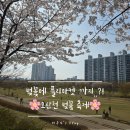 오산천 산책로 | [오산] 봄나들이 필수 코스! 오산천 벚꽃마켓 먹거리 &amp; 플리마켓 구경하고 왔어요