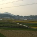 중섬 앞 Daum카페