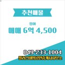 태양공인