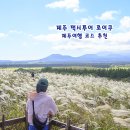 제주관광택시 로이쿠와 함께한 제주택시투어 제주여행 코스 추천