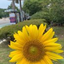 (주)디자인단 이미지