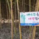 두발로걷자