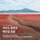 타임9002 이미지