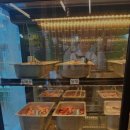 멍석갈비 - 단양군 별곡12길 10-18 | 멍석갈비