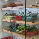 큰돌 | 의정부역 연말모임 장소로 딱 좋았던 원조 노포 큰돌불고기 후기