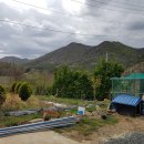 월출산 약초농산 이미지