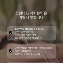 부동산중개스탠다드리퍼블릭 이미지
