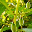 행복한 삶을 누리는 4가지 방법 | [공지] 레모ni의 전자책이 나왔어요. 이, 기적인 삶 이기적인 삶