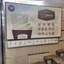 둔산탑약국 | 2박3일 빵 없는 대전 땡볕 여행: 대전역, 스모프치킨, 동백카츠, 가챠샵, 중앙로, 방탈출, 게임장, 소품...