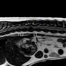 덕수동물병원 이미지