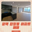 시립뉴비전엘크루어린이집 | 평택 뉴비전엘크루 매매 룸3 화2 실거주 투자 모두 가능한 단지