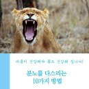 🆙️용서하는 방법을 개 발하라".❓분노 와 증오를 다 스리는 방법 10가지" 🆒️전.세계 인류의 가슴에 감동을 준 기도" 이미지