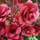 꽃꽂이(주간) 이미지