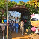 김포평화누리길 1코스 | 김포 평화누리길 걷기행사 | 2025년은 왜 안할까? | 가을여행지추천 | 가을산책 가을국내여행 | 가을...