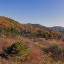 비밀의 정원 이미지