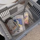 용인 애견용품 : <b>비커밍</b><b>스튜디오</b>