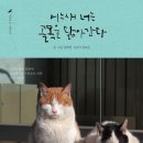 달빛 책방소