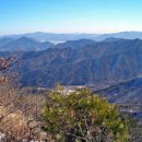 잡학다식 이미지