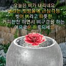 이제 당신 차례입니다 이미지