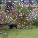 낭산다례원 이미지