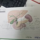 담주할머니 이미지