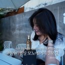 서면미용실 모노에이치전포점 여자 쿨톤 염색 애쉬브라운 후기 #데일리룩