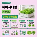 광원농장 | 2026년 하이시티팜 도입으로 달라지는 우리 집 식탁 풍경과 관리 기준
