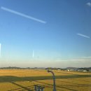 국밥생각(내포신도시점) 이미지