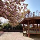 선흘1리경로당 이미지