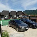 양평애견택시 이미지