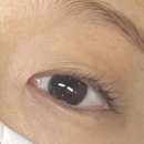 제이다방 | 부평 산곡동 청천동 속눈썹펌 잘하는곳 제이델리나 추천!! 솔직후기