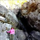 하양하양 이미지