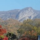 백양사 - 양천구 은행정로20길 5 | 백양사