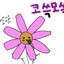 무동칼국수