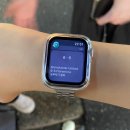 여주-0710 | 김해시골쥐 부산으로 이사오다-8月