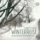슈베르트 - 겨울나그네(Franz Schubert - Die Winterreise, D. 911) 이미지