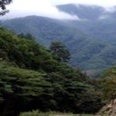 동교 Daum카페