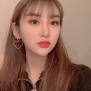 캣솔루션 이미지