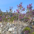 정원농장 이미지