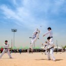 용인대박사태권도 이미지