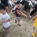 고구려목장 이미지